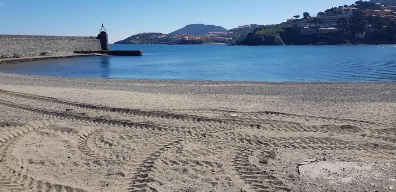 Studio Centre Plage Parking Gratuit Collioure Exteriér fotografie
